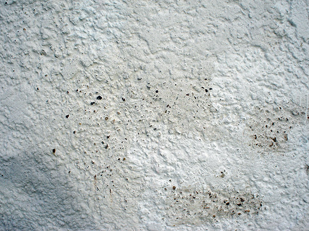 New Elgin Doocot: detail of damaged lime harling.