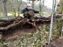 During works: example of the degree of root damage to the walls.