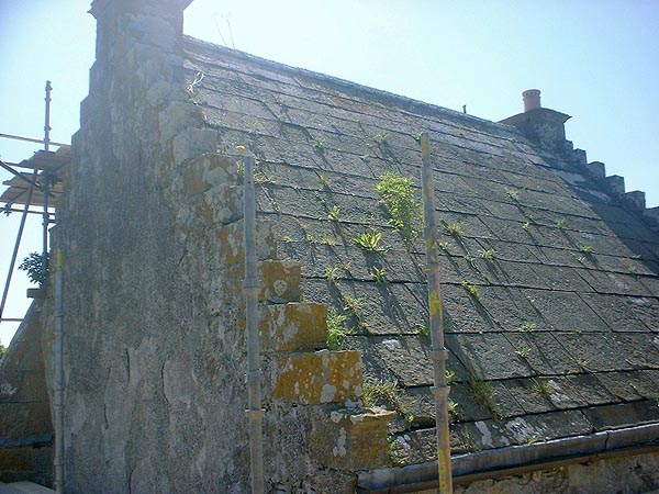 Phase 1: Roof detail: note condition of roof slabs and masonry.