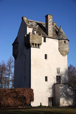 Phase 2: Coxton Tower: masonry steps.